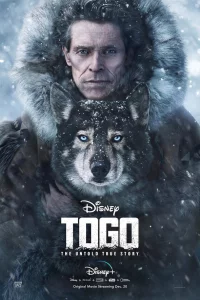 Тoro
